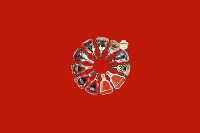 坊子区回收红酒